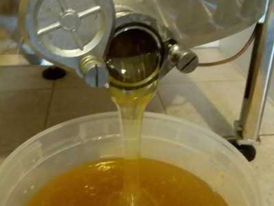 Il miele � il prodotto che ha pi� commercio per le sue caratteristiche zuccherine...